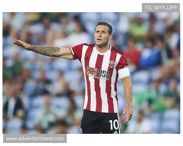 谢菲联新援近期融入情况良好,表现稳健且竞争力增强 谢菲联新援近期融入情况良好,表现稳健且竞争力增强