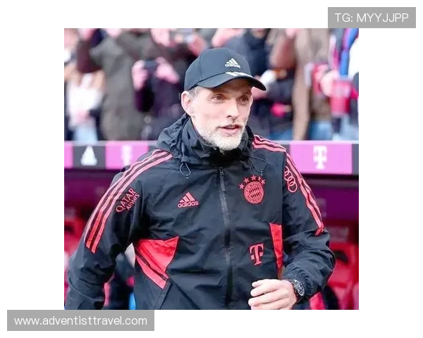 图赫尔德甲战术分析 图赫尔德甲战术分析